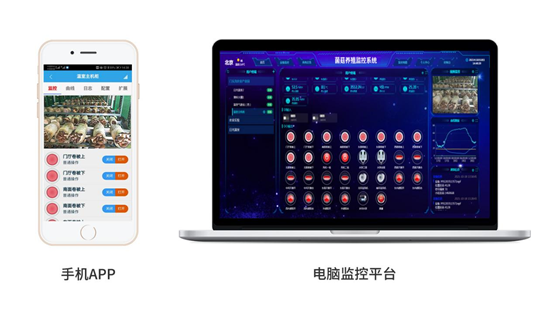 菌菇智能养殖监控系统远程监测 菌菇智能养殖监控系统远程监测