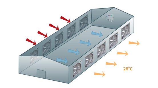 养殖场通风示意图 养殖场通风示意图