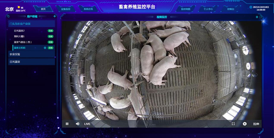 畜禽养殖监控系统视频监控功能 畜禽养殖监控系统视频监控功能