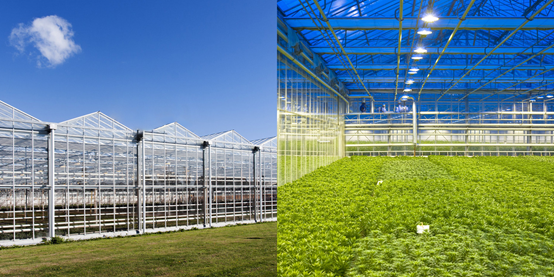 玻璃温室大棚监控系统 玻璃温室大棚监控系统