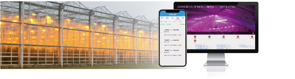 智能温室补光系统 智能温室补光系统