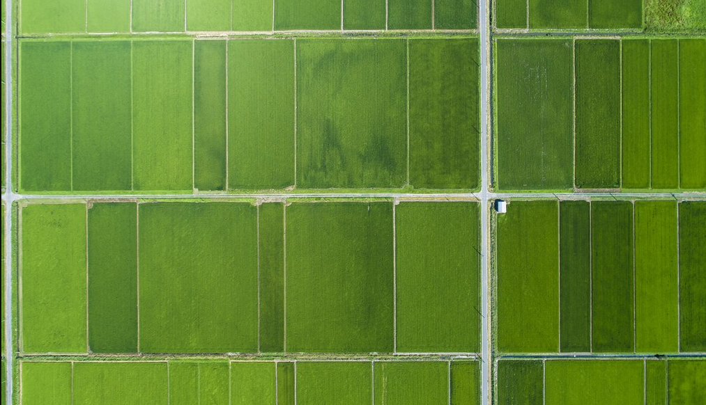 高标准农田(数字化、标准化)