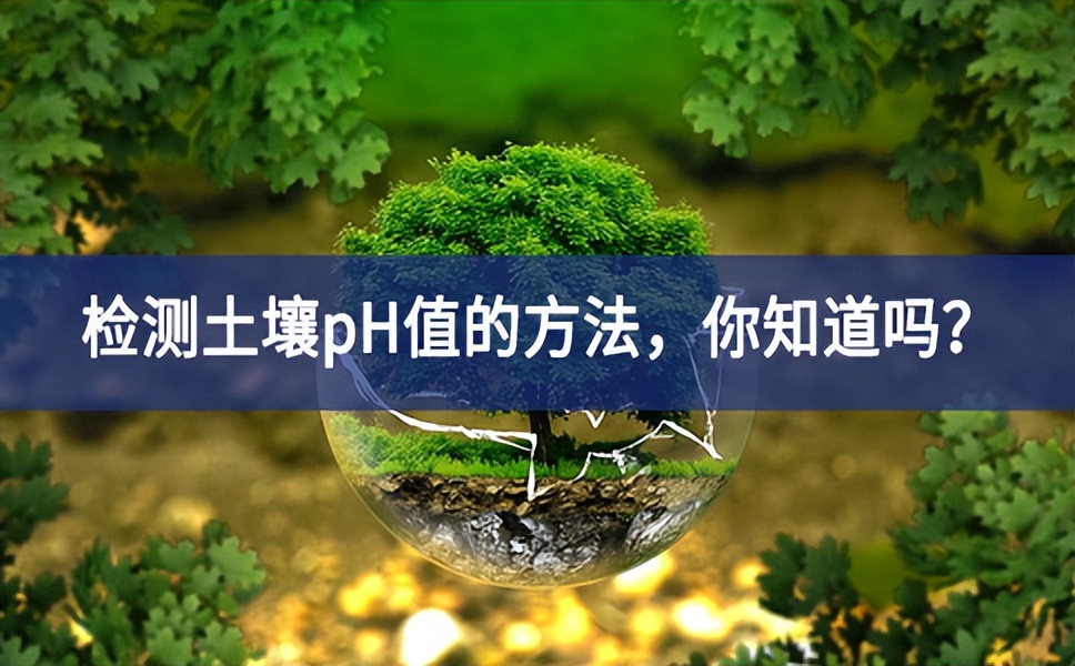 检测土壤pH值的方法，你知道吗？