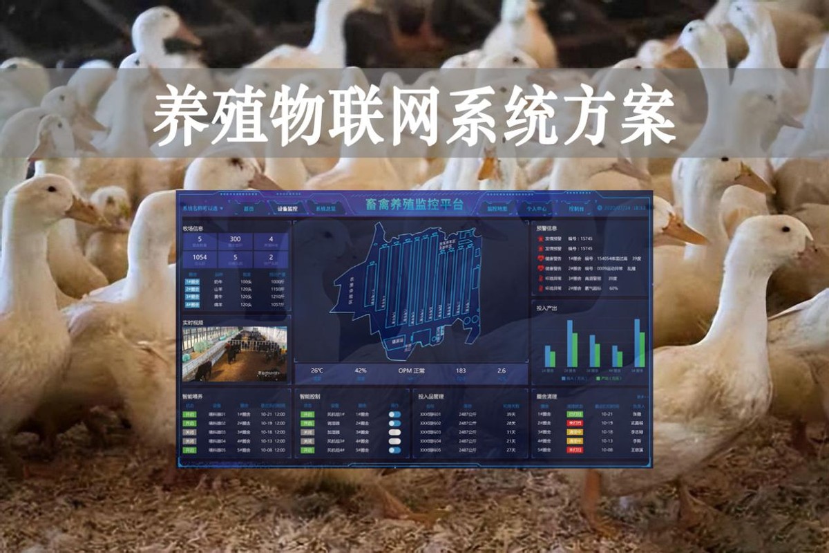【智慧养殖】数字经济时代到来，养殖物联网系统方案来了