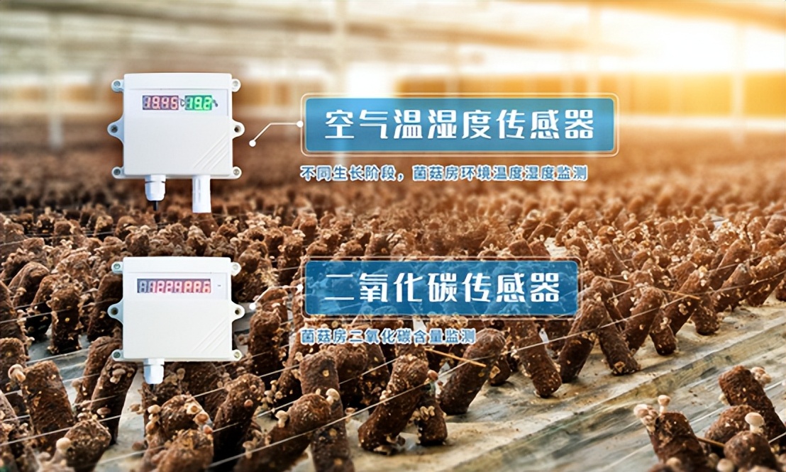 空气温湿度传感器、二氧化碳传感器