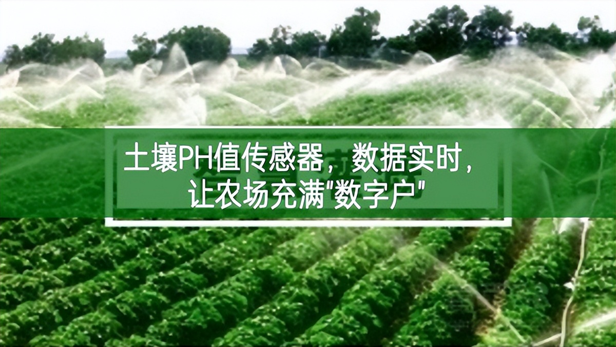 土壤PH值传感器，数据实时，让农场充满"数字户"