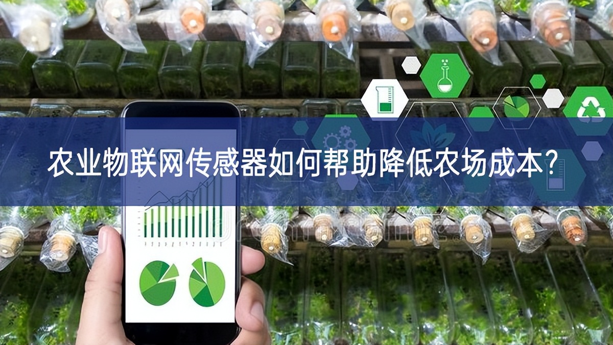 农业物联网传感器如何帮助降低农场成本？