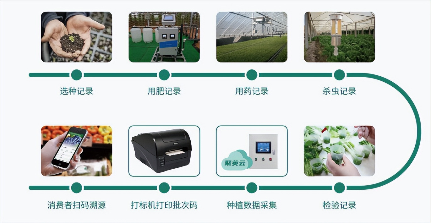 农产品追溯 农产品追溯