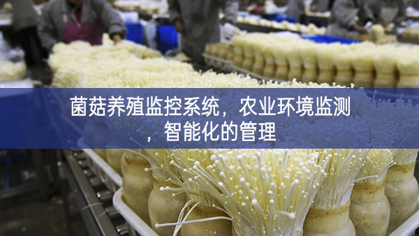 菌菇养殖监控系统,农业环境监测,智能化的管理