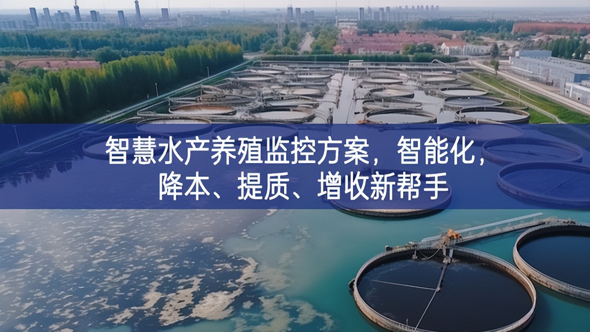 智慧水产养殖监控方案，智能化，降本、提质、增收新帮手