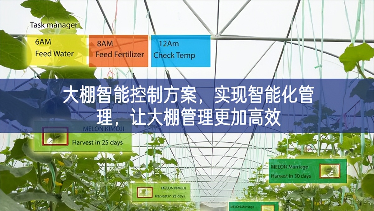 大棚智能控制方案，实现智能化管理，让大棚管理更加高效