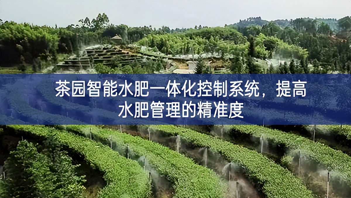 茶园智能水肥一体化控制系统，提高水肥管理的精准度