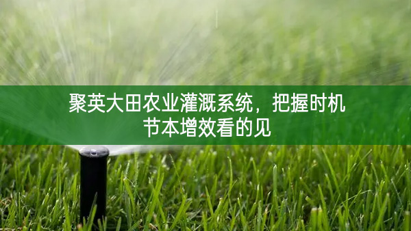 聚英大田农业灌溉系统，把握时机节本增效看的见