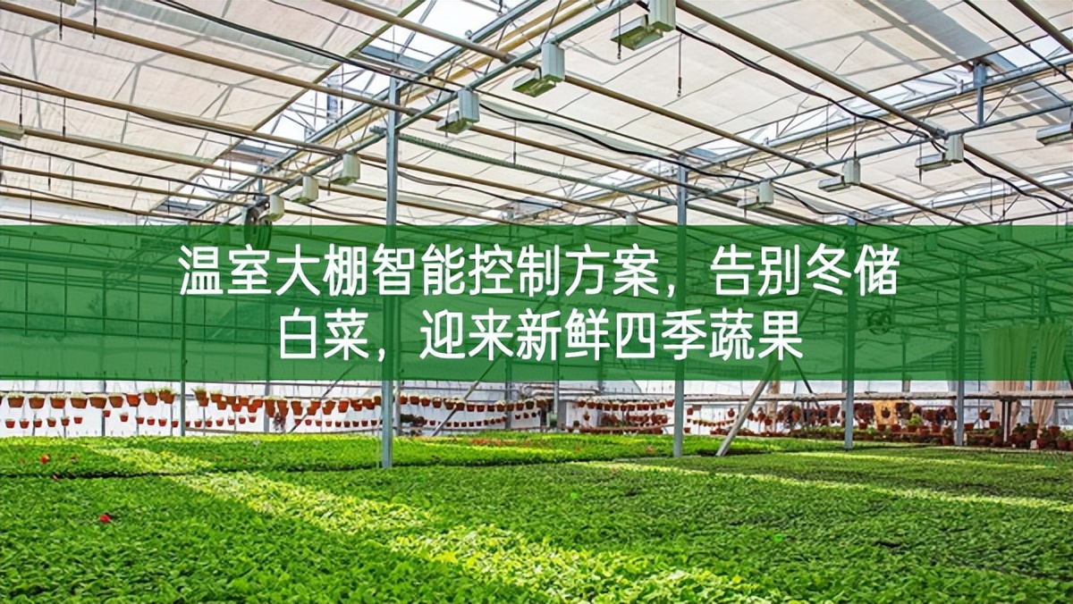 温室大棚智能控制方案，告别冬储白菜，迎来新鲜四季蔬果