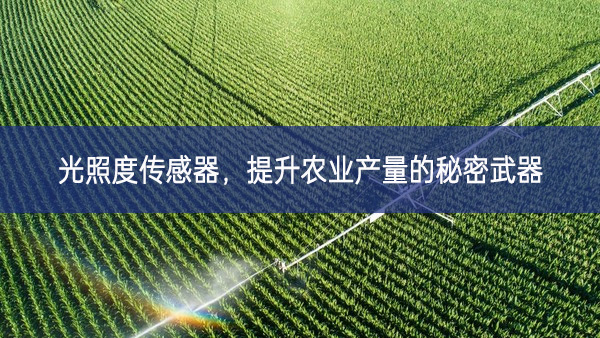 光照度传感器，提升农业产量的秘密武器