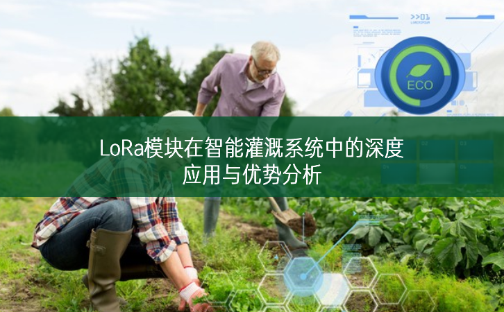 LoRa?？樵谥悄芄喔认低持械纳疃扔τ糜胗攀品治? width=