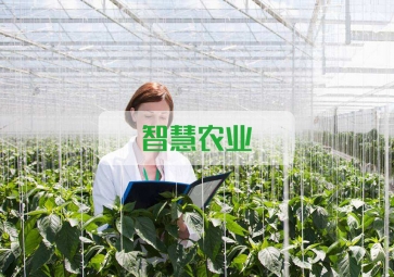 春雷一声 惊蛰到，聚英智慧农业系统助力农业春耕