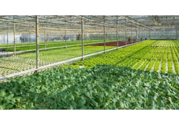 2022年现阶段智能温室发展趋势如何？