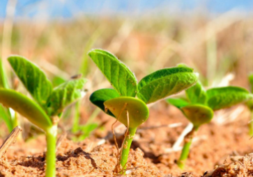 选择土壤温湿度传感器时要注意哪些？