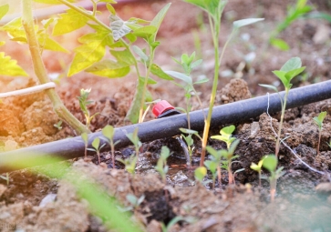 节水灌溉系统解决方案，用农业物联网技术，科学灌溉