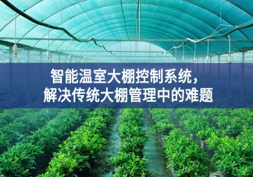 「智慧农业」智能温室大棚控制系统，解决传统大棚管理中的难题