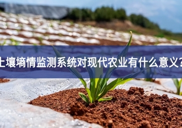 土壤墒情监测系统对现代农业有什么意义？