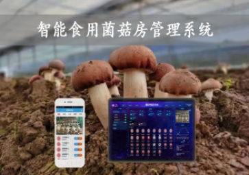  智能食用菌菇房管理系统，物联网方案应用，打造菌菇种植工厂