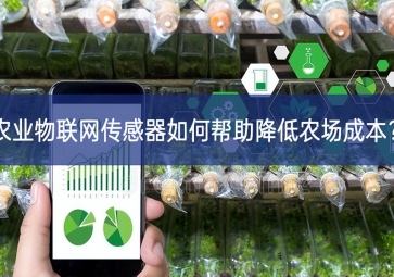 农业物联网传感器如何帮助降低农场成本？