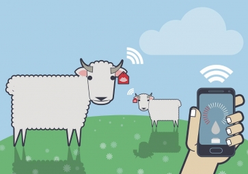 物联网如何保证食品安全？