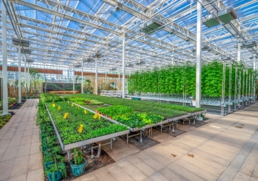 「智慧农业」农业领域也迎来了智能化革命，智慧温室控制系统应用