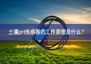 土壤pH传感器的工作原理是什么？