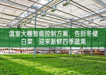 「智慧农业」温室大棚智能控制方案，告别冬储白菜，迎来新鲜四季蔬果