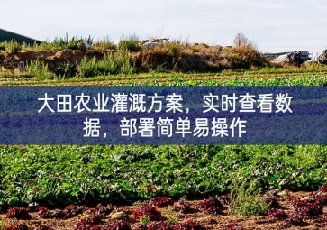 「智慧农业」大田农业灌溉方案，实时查看数据，部署简单易操作