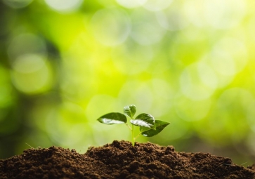 光照度传感器，如何成了智慧农业的新宠儿