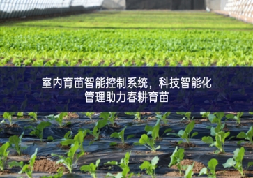 室内育苗智能控制系统，科技智能化管理助力春耕育苗
