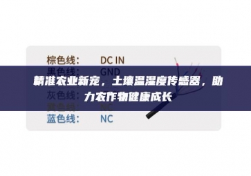 精准农业新宠，土壤温湿度传感器，助力农作物健康成长