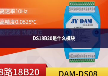 DS18B20是什么?？? class=