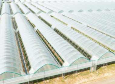 薄膜连栋温室大棚监控系统