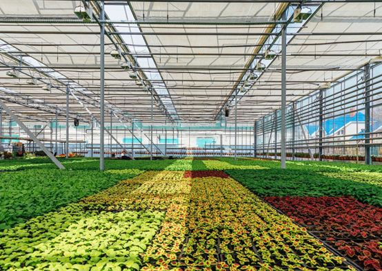 薄膜连栋温室大棚监控系统