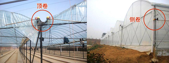 薄膜连栋温室大棚监控系统